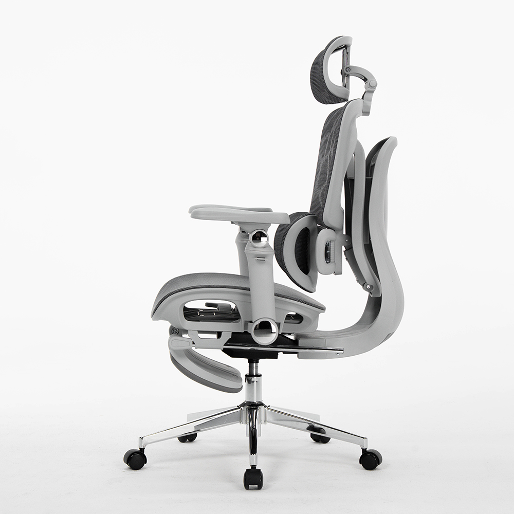 Office Chairs For Staff, Ergon - đánh giá và giá Office Furniture Factory