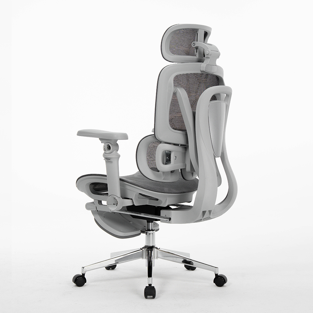 Office Chairs For Staff, Ergon - đánh giá và giá Office Furniture Factory