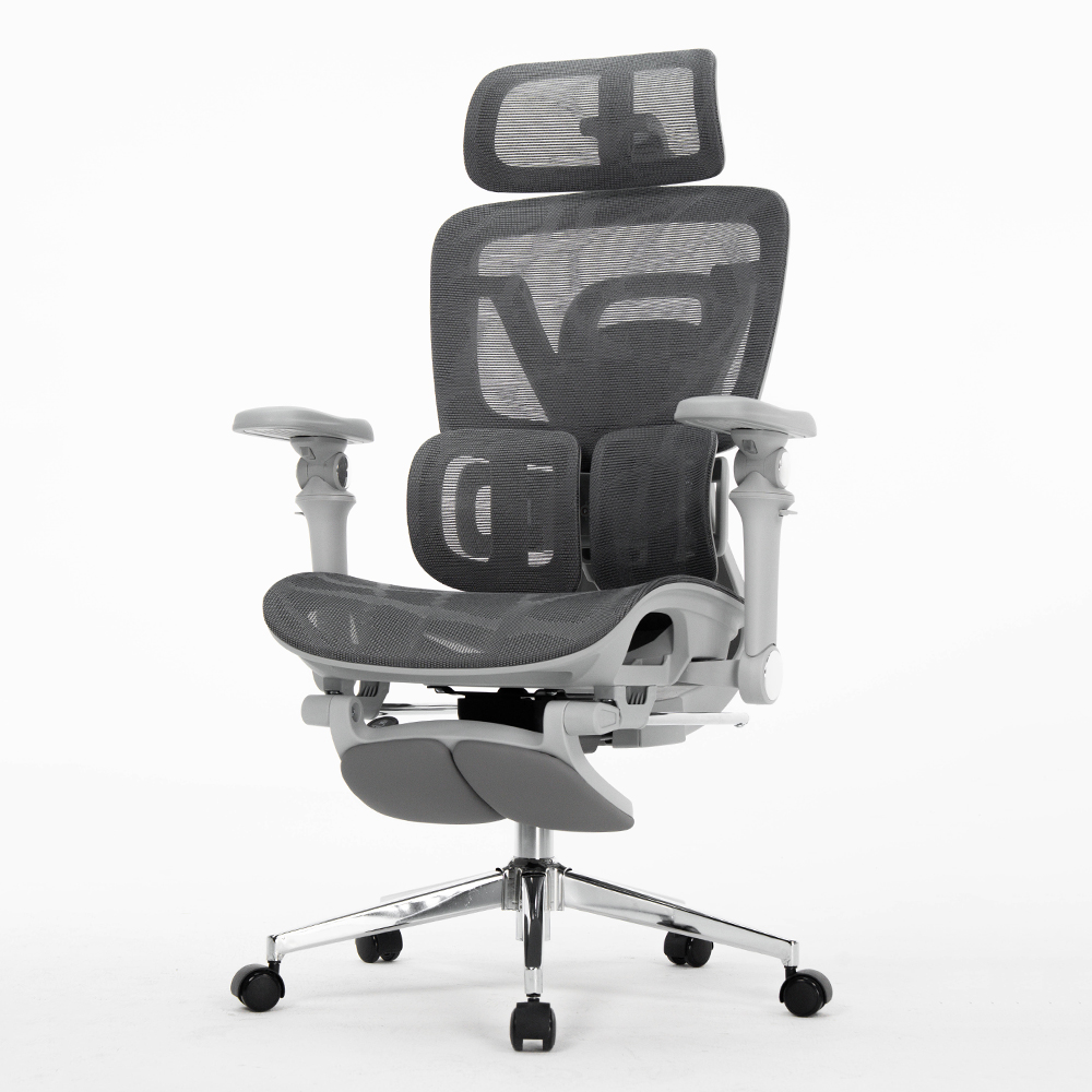 Office Chairs For Staff, Ergon - đánh giá và giá Office Furniture Factory